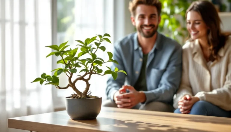 Ficus Ginseng, une plante verte avec une durée de vie longue et soins adaptés